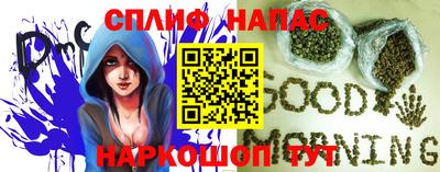 дмт Павлово