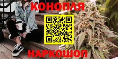 дмт Павлово