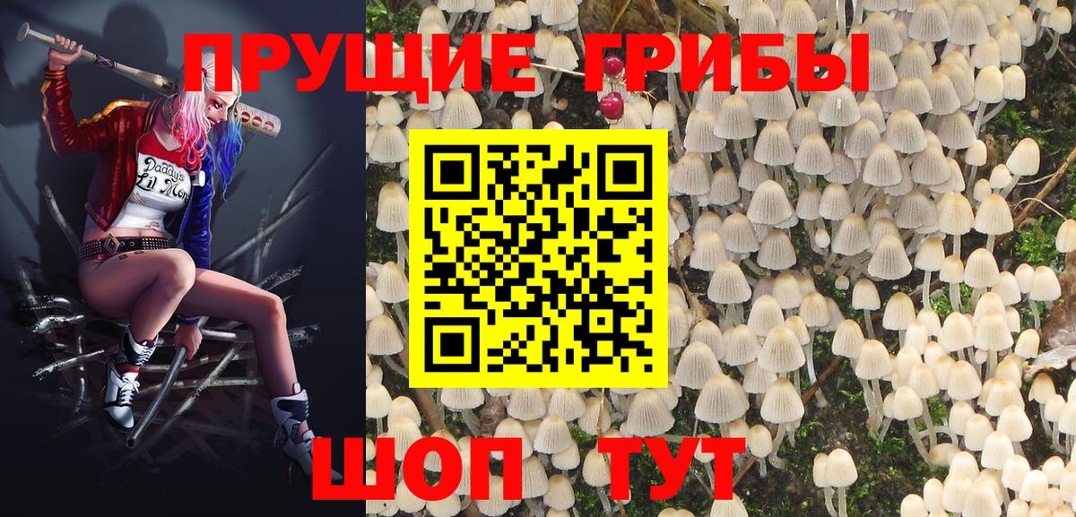 Псилоцибиновые грибы GOLDEN TEACHER Белогорск